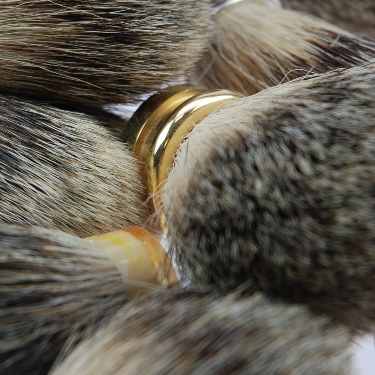 Shaving brushes - Skaban Studio